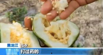 退坑吃瓜